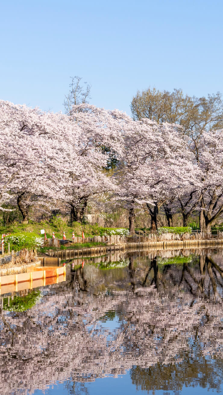 Maruyama Park